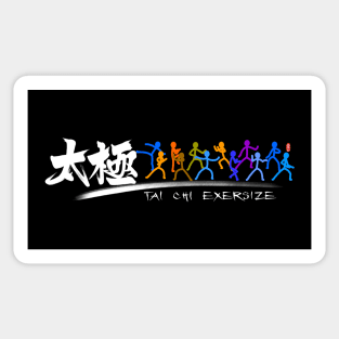 Tai Chi kung fu(功夫) Sticker